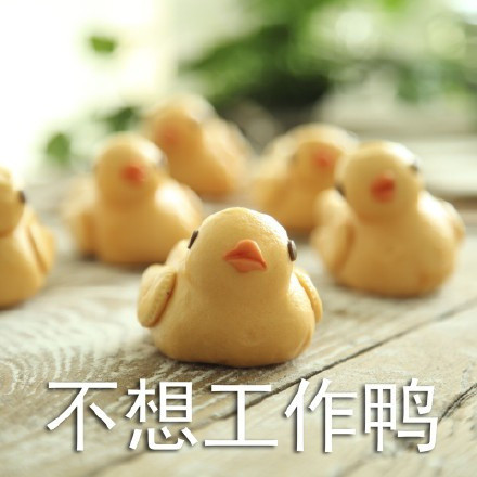 一弹鸭鸭表情包来啦！超全可爱鸭鸭表情合集