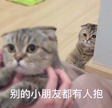 11月24日热门斗图表情包合集来啦