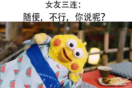 鹦鹉兄弟出新三连表情包啦！
