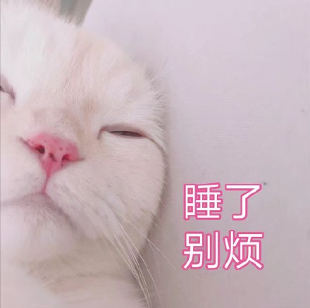 谁懂啊！这组软fufu的猫咪表情包太治愈了