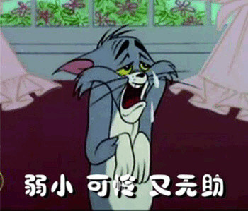 《猫和老鼠》汤姆专属表情包合集