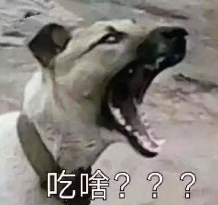 打工人必备！食堂大妈专属斗图表情包来啦