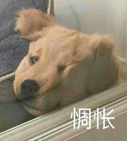 10月热门无水印表情包合集来啦