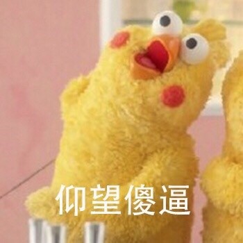 鹦鹉兄弟仰望系列表情包来啦