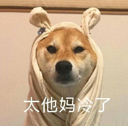 1月13日斗图表情包精选合集