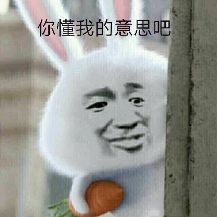 12月1日热门斗图表情包合集