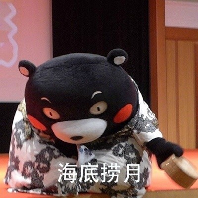 这套功夫表情包太绝了！熊本熊整活整到飞起