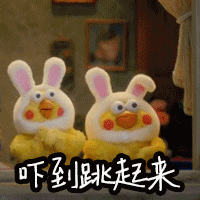 鹦鹉兄弟动图合集来啦！聊天斗图不用愁