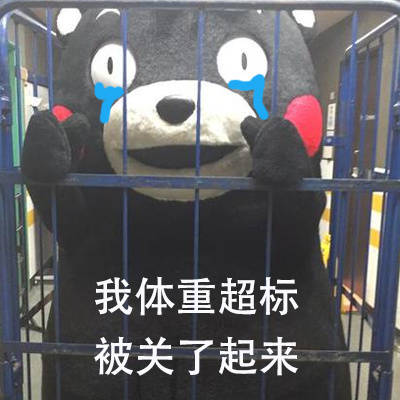 熊本熊被关起来啦 这套表情包太有意思了