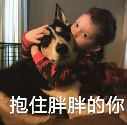 假笑男孩Gavin专属表情包合集