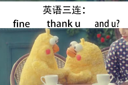鹦鹉兄弟出新三连表情包啦！