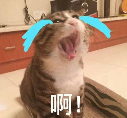 8月29日热门斗图表情包合集