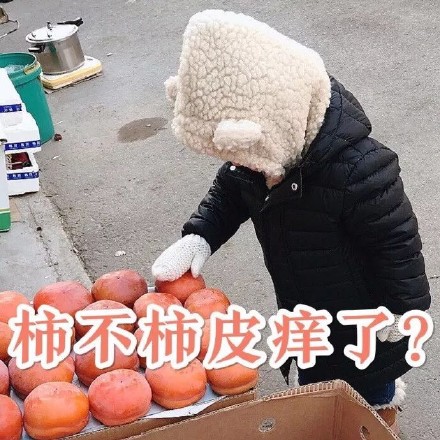 超萌小刚几表情包合集 斗图必备