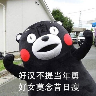 熊本熊版“月半仙女”表情包来啦！