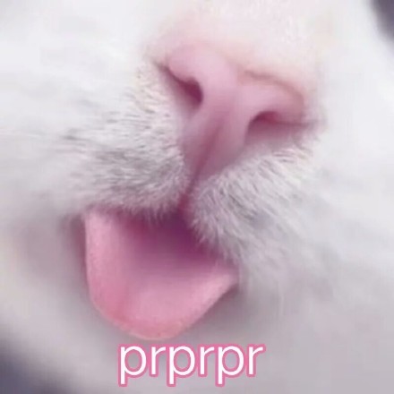 谁懂啊！这组软fufu的猫咪表情包太治愈了