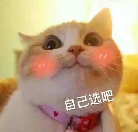 情侣互动表情包：老公，不举高高么