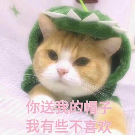 聊天斗图别发愁！这波表情包直接够用