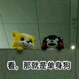 超实用柴犬Doge微信表情包合集
