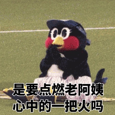 今日份斗图表情包合集来啦