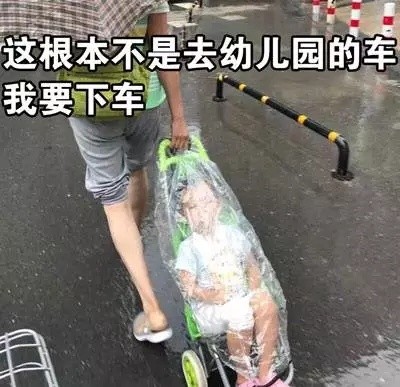 “我要下车！这不是去幼儿园的车”表情包合集来啦