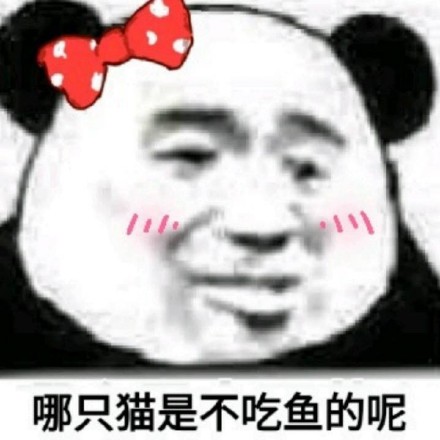12月7日热门斗图表情包合集