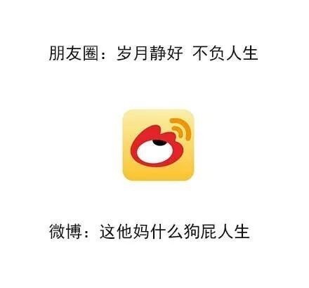 朋友圈 vs 微博：你的双面人设表情包