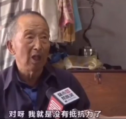 11月30日最新热门斗图表情包合集