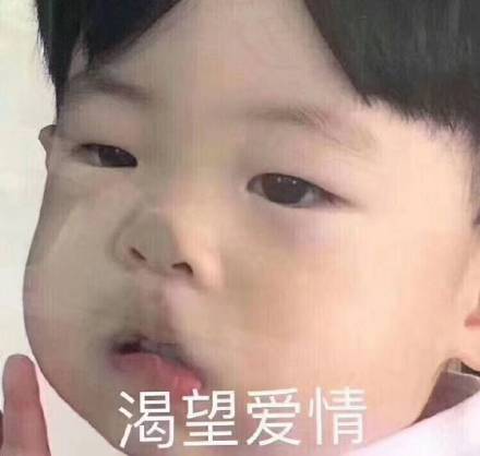 当下超火的表情包合集 斗图直接用