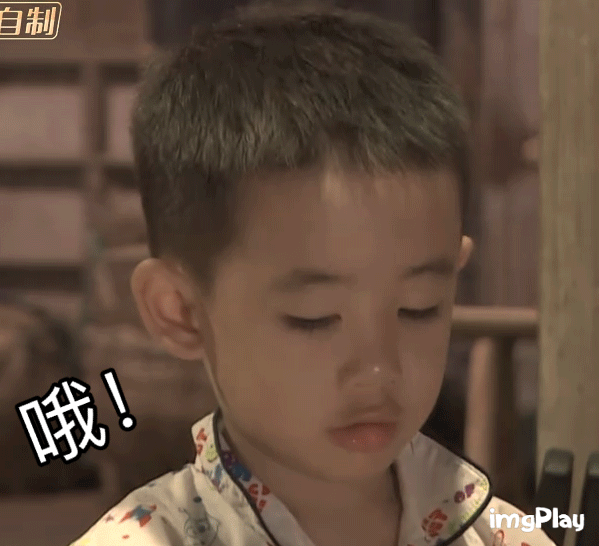 陈小春儿子小小春Jasper无水印表情包合集