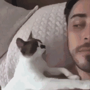 真实反差！女朋友平时vs闹脾气时的样子，这组动图太传神了