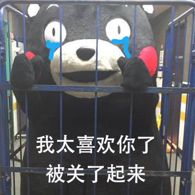 熊本熊被关起来啦 这套表情包太有意思了