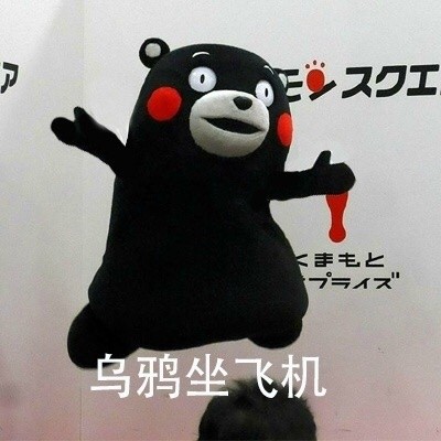 这套功夫表情包太绝了！熊本熊整活整到飞起