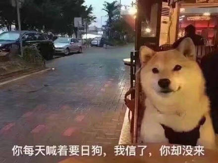 七夕单身狗专属表情包，戳中你的心巴