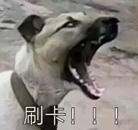 打工人必备！食堂大妈专属斗图表情包来啦