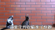 赛季末打王者上分的真实吐槽，看完你是不是也中枪了