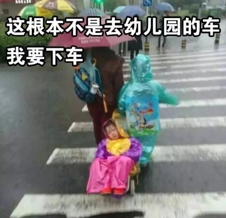 “我要下车！这不是去幼儿园的车”表情包合集来啦