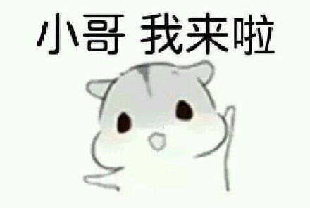 整理好的撩汉表情包合集来了