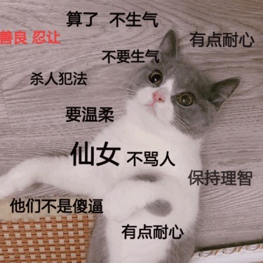 超实用猫咪表情包合集 斗图必备