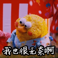 鹦鹉兄弟动图合集来啦！聊天斗图不用愁