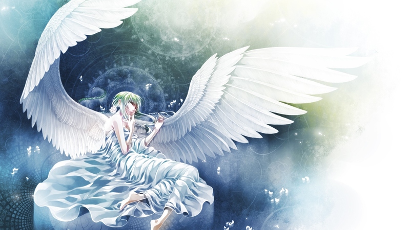 动漫少女睡梦中的羽翼之姿 高清壁纸