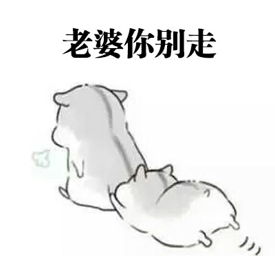 想找会道歉的老公表情包？这套合集太戳人了
