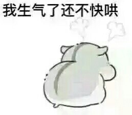 女生撩汉专用表情包合集