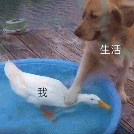 打工人看完直接破防！这套“这就是生活与我”表情包太真实了