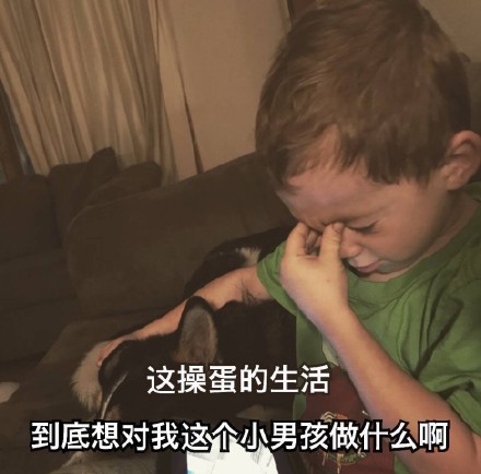 1月25日斗图表情包原图合集来了