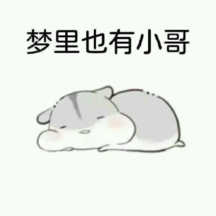 整理好的撩汉表情包合集来了
