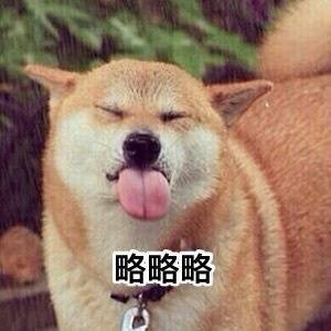 超实用柴犬Doge微信表情包合集