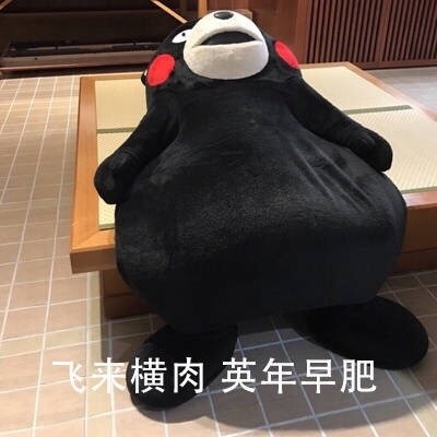 熊本熊版“月半仙女”表情包来啦！