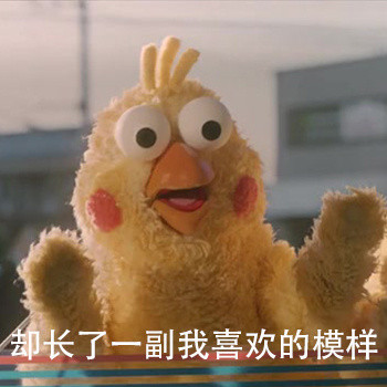 被气到的鹦鹉兄弟表情包来啦