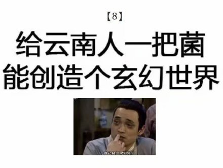 这波地域梗标语太绝了！