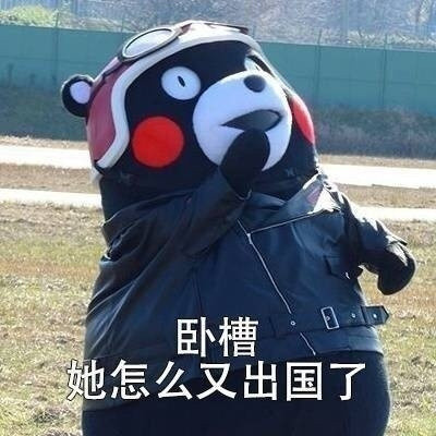 刷朋友圈时的真实吐槽，这套熊本熊表情包太真实了